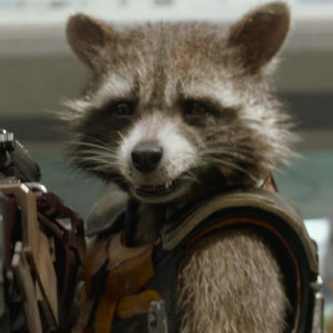 Bradley Cooper as Rocket in Guardians of the Galaxy